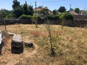 Terreno R�stico - Vilar Formoso, Almeida, Guarda - Miniatura: 2/7