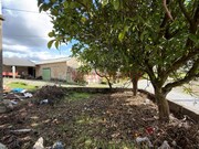 Moradia T3 - Tourais, Seia, Guarda - Miniatura: 4/9