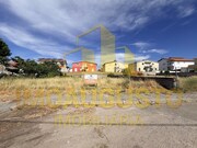 Terreno R�stico - Figueira de Castelo Rodrigo, Figueira de Castelo Rodrigo, Guarda - Miniatura: 4/6