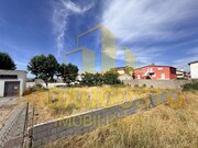 Terreno R�stico - Figueira de Castelo Rodrigo, Figueira de Castelo Rodrigo, Guarda - Miniatura: 5/6
