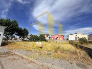 Terreno R�stico - Figueira de Castelo Rodrigo, Figueira de Castelo Rodrigo, Guarda - Miniatura: 6/6