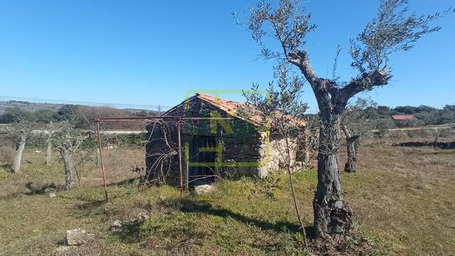 Terreno R�stico - Oledo, Idanha-a-Nova, Castelo Branco - Imagem grande