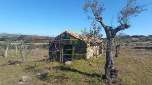 Terreno R�stico - Oledo, Idanha-a-Nova, Castelo Branco