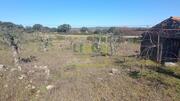 Terreno R�stico - Oledo, Idanha-a-Nova, Castelo Branco - Miniatura: 9/9