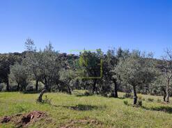 Terreno R�stico - Aranhas, Penamacor, Castelo Branco