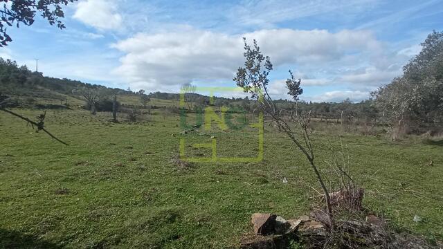 Terreno R�stico - Penamacor, Penamacor, Castelo Branco - Imagem grande