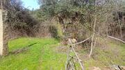 Terreno R�stico - Penamacor, Penamacor, Castelo Branco - Miniatura: 2/9