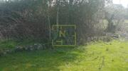 Terreno R�stico - Penamacor, Penamacor, Castelo Branco - Miniatura: 3/9