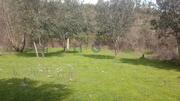 Terreno R�stico - Penamacor, Penamacor, Castelo Branco - Miniatura: 4/9