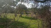 Terreno R�stico - Penamacor, Penamacor, Castelo Branco - Miniatura: 8/9