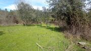 Terreno R�stico - Penamacor, Penamacor, Castelo Branco - Miniatura: 9/9