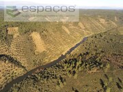 Terreno Rstico - Sarnadas de Rodo, Vila Velha de Rdo, Castelo Branco - Miniatura: 2/9