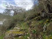 Terreno Rstico - Sarnadas de Rodo, Vila Velha de Rdo, Castelo Branco - Miniatura: 4/9