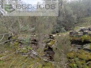 Terreno Rstico - Sarnadas de Rodo, Vila Velha de Rdo, Castelo Branco - Miniatura: 5/9