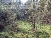 Terreno Rstico - Sarnadas de Rodo, Vila Velha de Rdo, Castelo Branco - Miniatura: 5/9