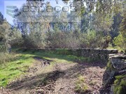 Terreno Rstico - Sarnadas de Rodo, Vila Velha de Rdo, Castelo Branco - Miniatura: 9/9