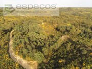 Terreno Rstico - Salgueiro do Campo, Castelo Branco, Castelo Branco - Miniatura: 1/9