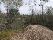 Terreno Rstico - Salgueiro do Campo, Castelo Branco, Castelo Branco - Miniatura: 3/9