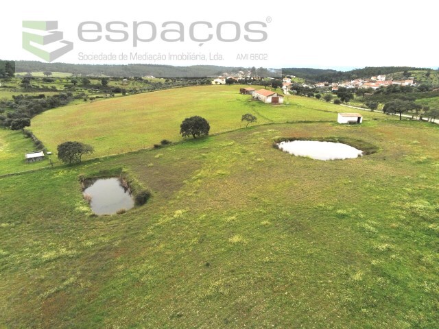 Terreno Rstico - Sarnadas de Rodo, Vila Velha de Rdo, Castelo Branco - Imagem grande
