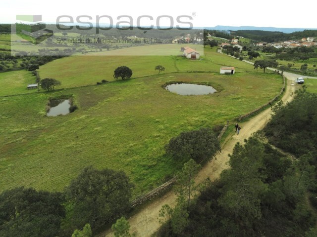 Terreno Rstico - Sarnadas de Rodo, Vila Velha de Rdo, Castelo Branco - Imagem grande