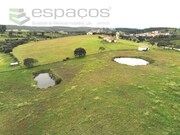 Terreno Rstico - Sarnadas de Rodo, Vila Velha de Rdo, Castelo Branco