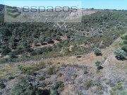 Terreno Rstico - Perais, Vila Velha de Rdo, Castelo Branco - Miniatura: 4/9