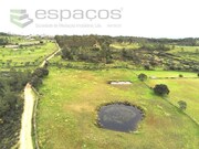 Terreno Rstico - Sarnadas de Rodo, Vila Velha de Rdo, Castelo Branco - Miniatura: 1/4