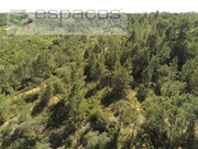 Terreno Rstico - Castelo Branco, Castelo Branco, Castelo Branco - Miniatura: 8/9