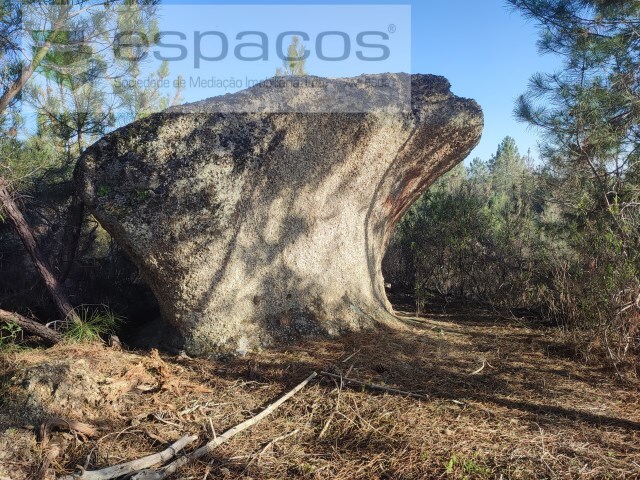 Terreno Rstico - Salgueiro do Campo, Castelo Branco, Castelo Branco - Imagem grande