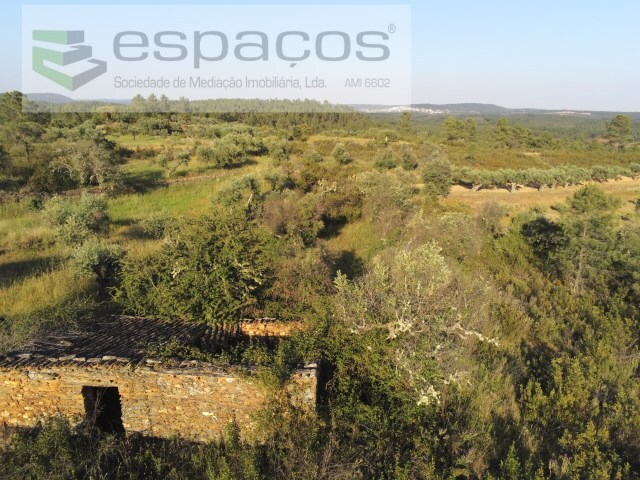 Quinta - Sarzedas, Castelo Branco, Castelo Branco - Imagem grande