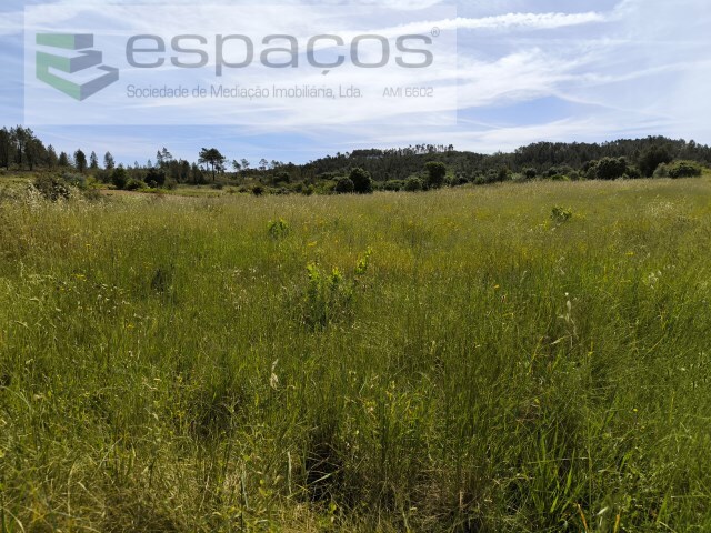 Terreno Rstico - Sarzedas, Castelo Branco, Castelo Branco - Imagem grande