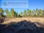Terreno Rstico - Sarzedas, Castelo Branco, Castelo Branco - Miniatura: 7/9