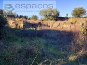 Terreno Rstico - Sarzedas, Castelo Branco, Castelo Branco - Miniatura: 8/9