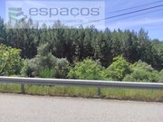 Terreno Rstico - Almaceda, Castelo Branco, Castelo Branco - Miniatura: 1/9