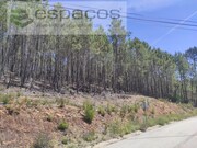 Terreno Rstico - Almaceda, Castelo Branco, Castelo Branco - Miniatura: 4/9
