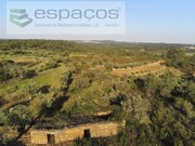 Quinta - Sarzedas, Castelo Branco, Castelo Branco - Miniatura: 2/9