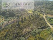 Quinta - Sarzedas, Castelo Branco, Castelo Branco - Miniatura: 3/9
