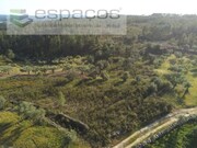 Quinta - Sarzedas, Castelo Branco, Castelo Branco - Miniatura: 4/9