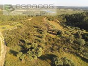 Quinta - Sarzedas, Castelo Branco, Castelo Branco - Miniatura: 5/9