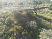 Quinta - Sarzedas, Castelo Branco, Castelo Branco - Miniatura: 6/9