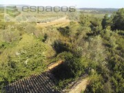 Quinta - Sarzedas, Castelo Branco, Castelo Branco - Miniatura: 8/9