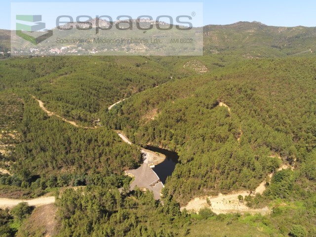 Terreno Rstico - Cardosa, Oleiros, Castelo Branco - Imagem grande