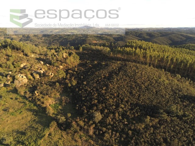 Terreno Rstico - Salgueiro do Campo, Castelo Branco, Castelo Branco - Imagem grande
