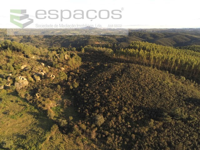 Terreno Rústico - Salgueiro do Campo, Castelo Branco, Castelo Branco - Imagem grande