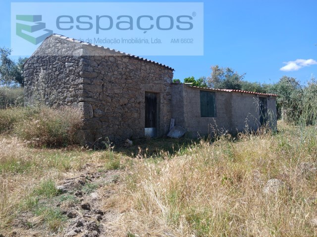 Quinta - Póvoa de Rio de Moinhos, Castelo Branco, Castelo Branco - Imagem grande