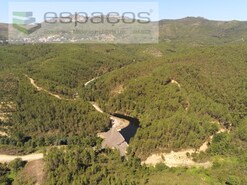 Terreno Rstico - Cardosa, Oleiros, Castelo Branco