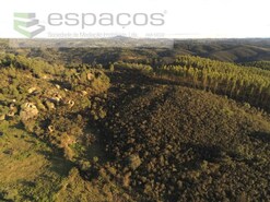 Terreno Rstico - Salgueiro do Campo, Castelo Branco, Castelo Branco