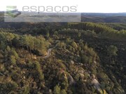 Terreno Rstico - Salgueiro do Campo, Castelo Branco, Castelo Branco - Miniatura: 9/9