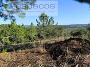 Terreno Rstico - Sarzedas, Castelo Branco, Castelo Branco - Miniatura: 3/9