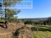 Terreno Rstico - Sarzedas, Castelo Branco, Castelo Branco - Miniatura: 4/9